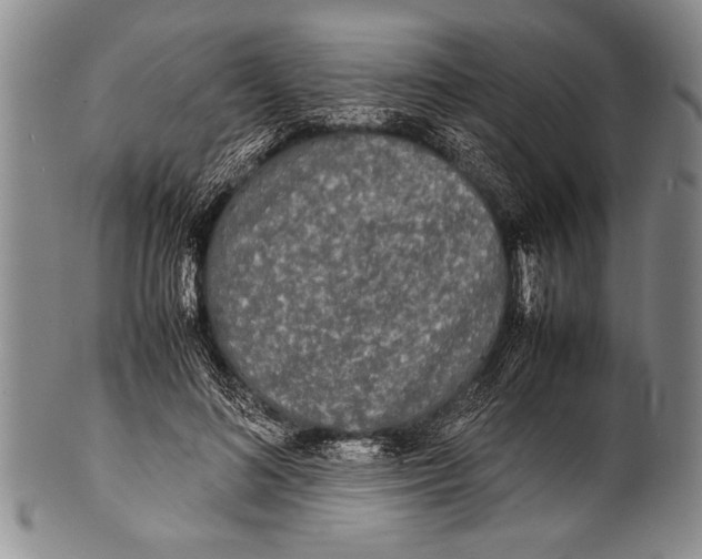 X0000100310692200806261202