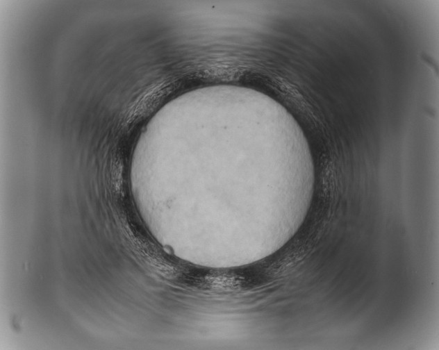 X0000100310693200806261202