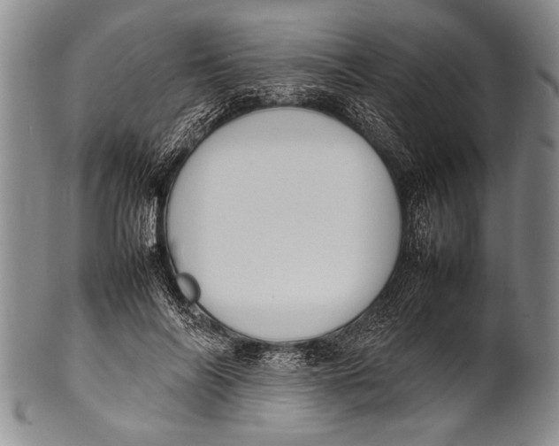 X0000100310694200806261202