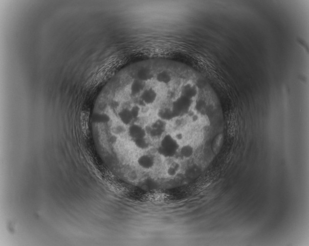 X0000100310695200806261202