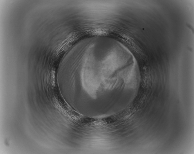 X0000100310696200806261202