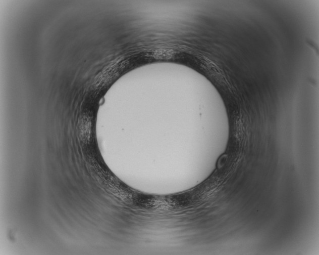 X0000100310697200806261202