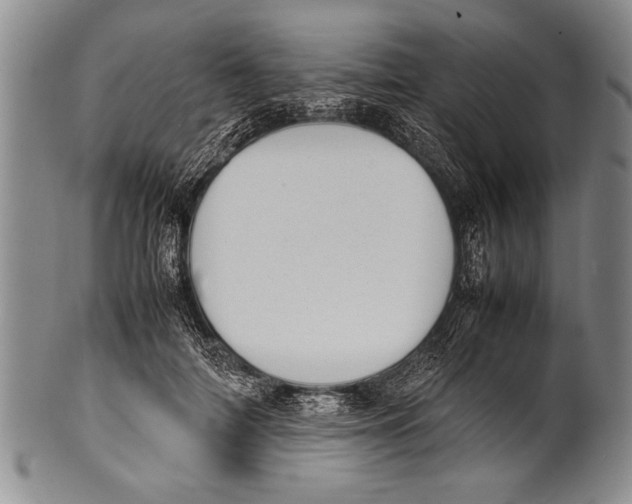 X0000100310698200806261202