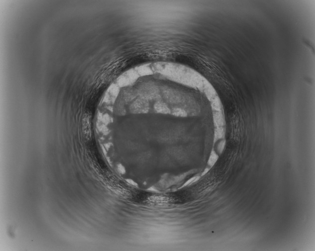 X0000100310699200806261202