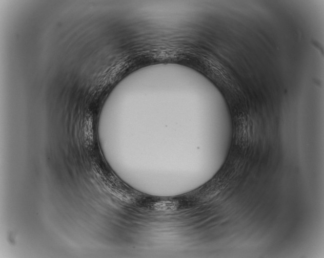 X0000100310700200806261202