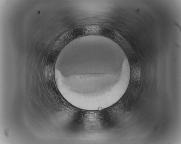 X0000100310701200806261202