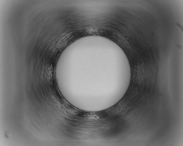 X0000100310702200806261202