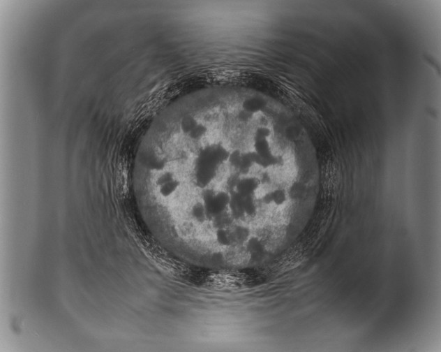 X0000100310703200806261202