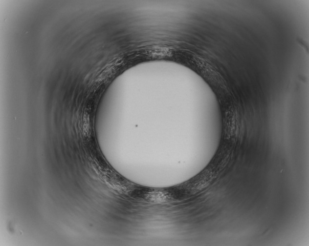 X0000100310704200806261202