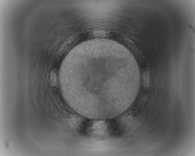 X0000100310705200806261202