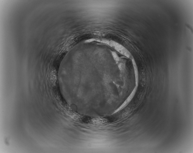 X0000100310707200806261202