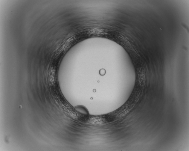 X0000100310708200806261202