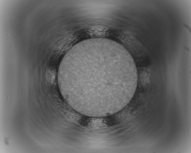 X0000100310709200806261202