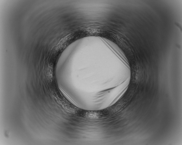 X0000100310710200806261202