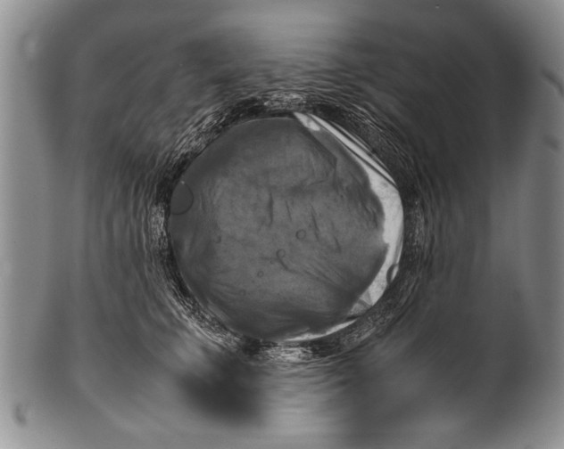 X0000100310711200806261202