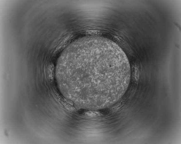 X0000100310712200806261202