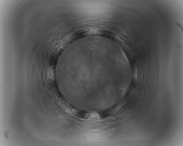 X0000100310715200806261202