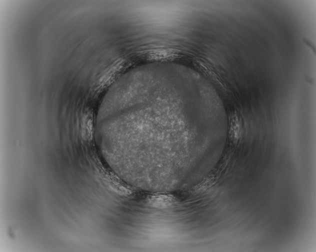 X0000100310716200806261202