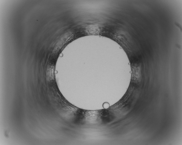 X0000100310717200806261202