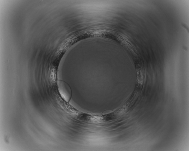 X0000100310718200806261202