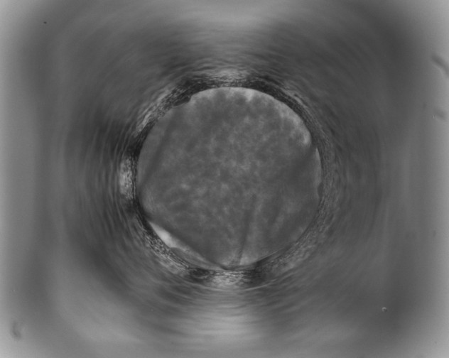 X0000100310720200806261202