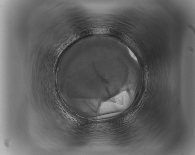 X0000100310721200806261201