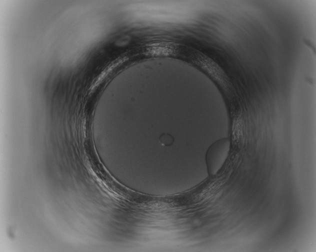 X0000100310722200806261201