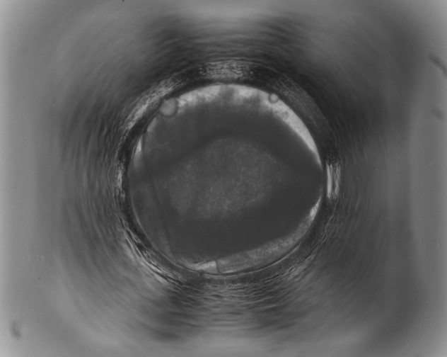 X0000100310723200806261201