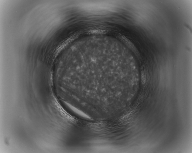 X0000100310725200806261201