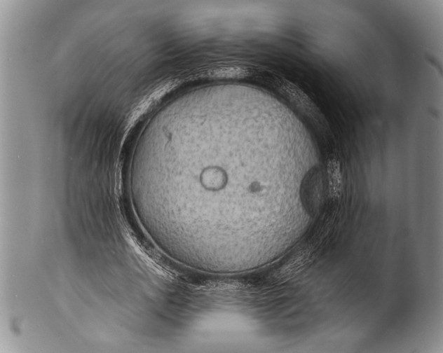 X0000100310726200806261201