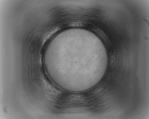 X0000100310727200806261201