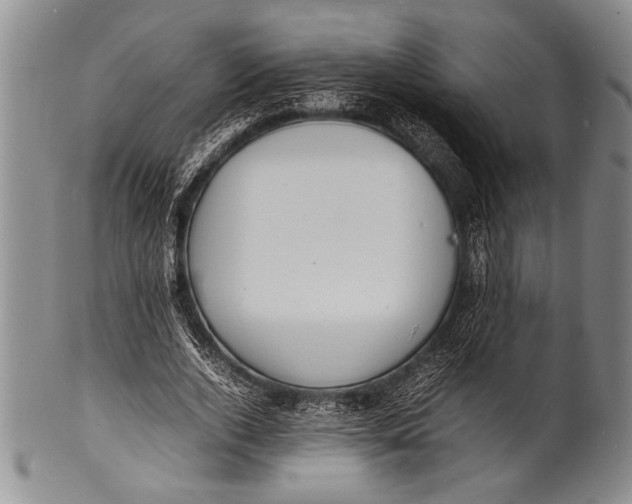 X0000100310728200806261201