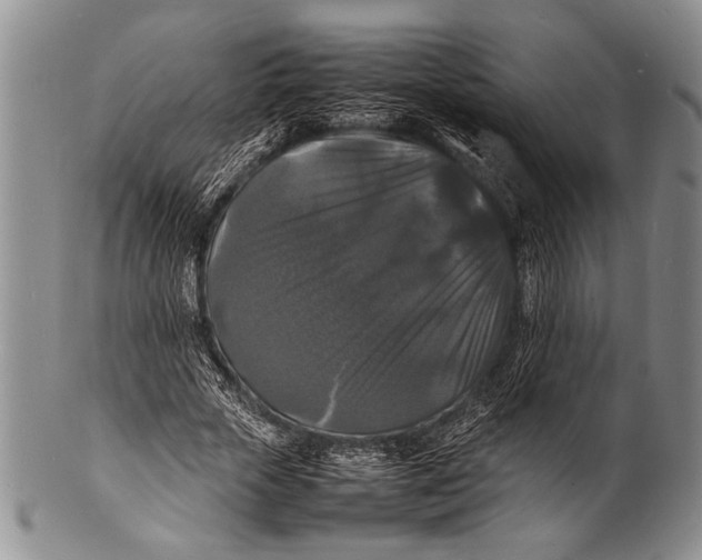 X0000100310729200806261201