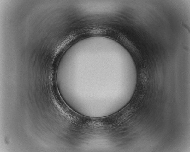 X0000100310730200806261201