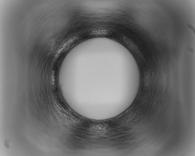 X0000100310731200806261201