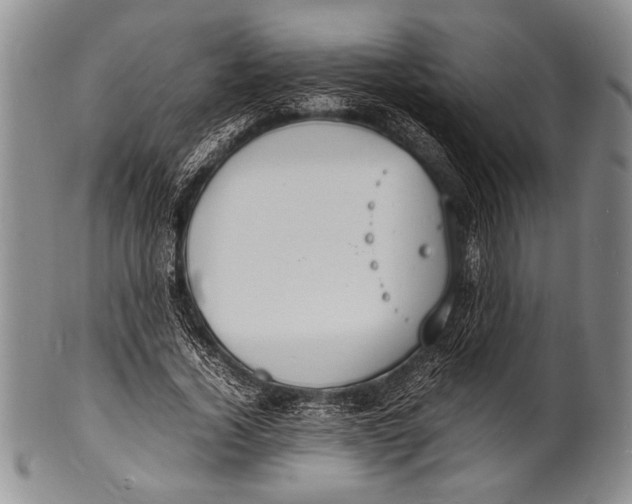 X0000100310732200806261202