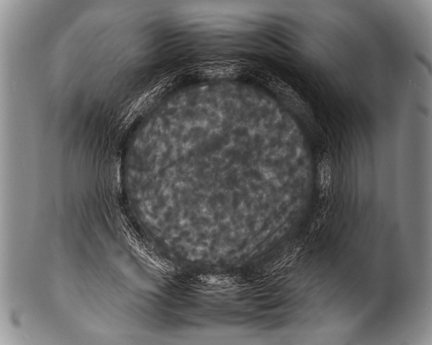 X0000100310733200806261202