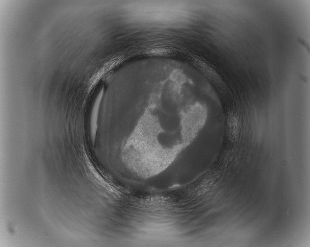 X0000100310734200806261202