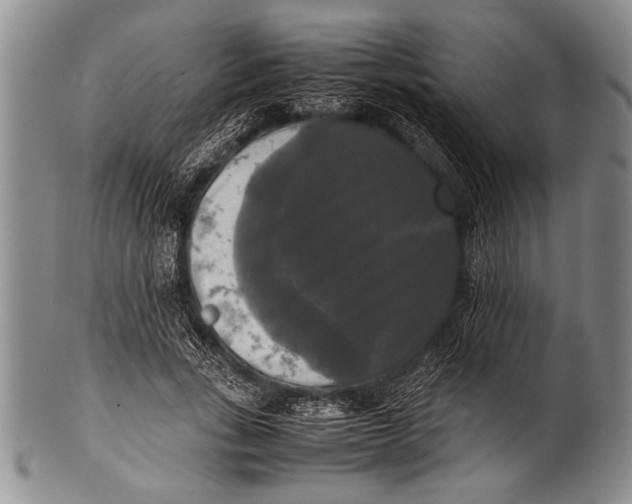 X0000100310735200806261202