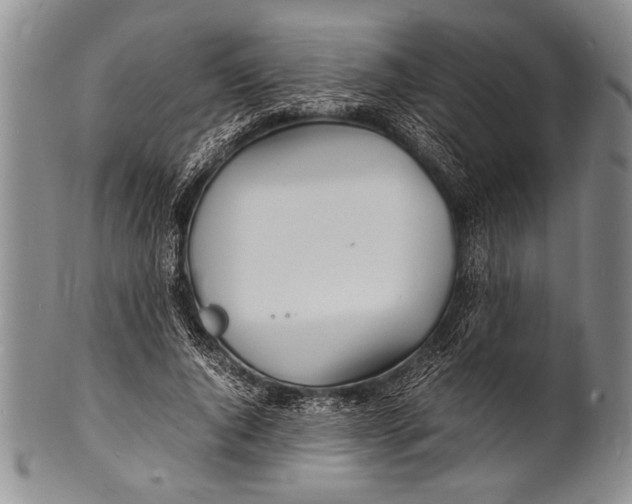 X0000100310736200806261202