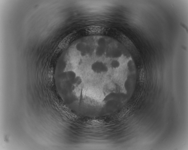 X0000100310737200806261202