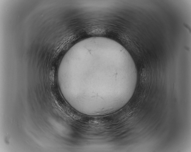 X0000100310739200806261202