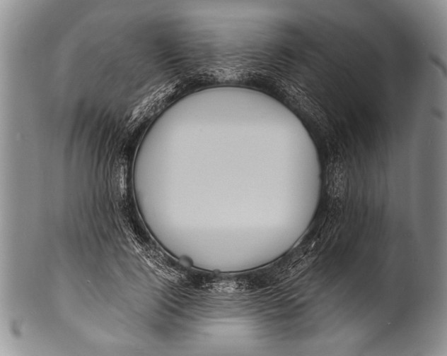 X0000100310740200806261202