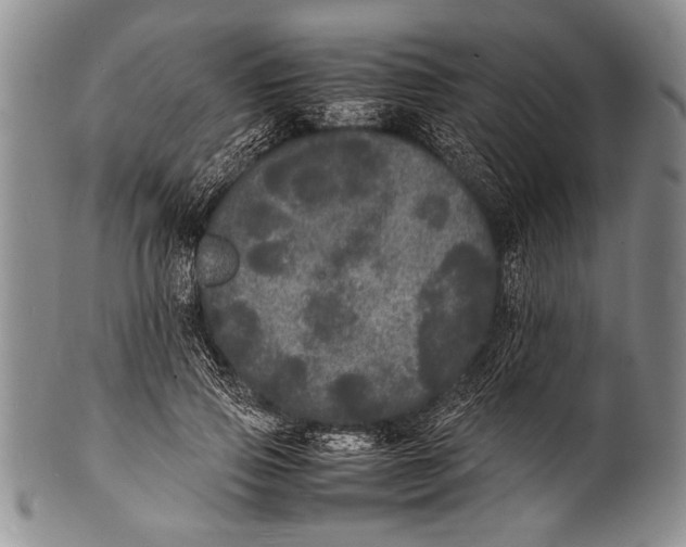 X0000100310741200806261202