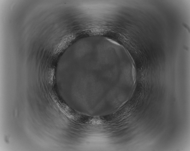 X0000100310742200806261202