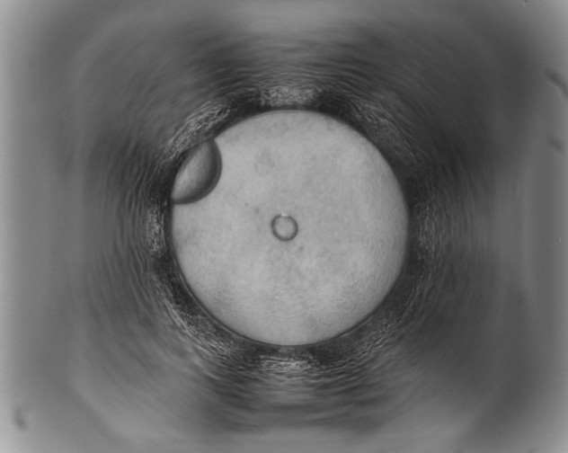 X0000100310743200806261202