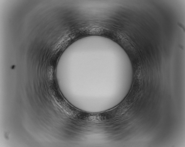 X0000100310744200806261202