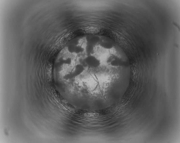 X0000100310745200806261202