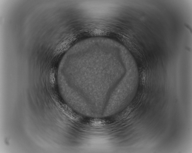 X0000100310746200806261202