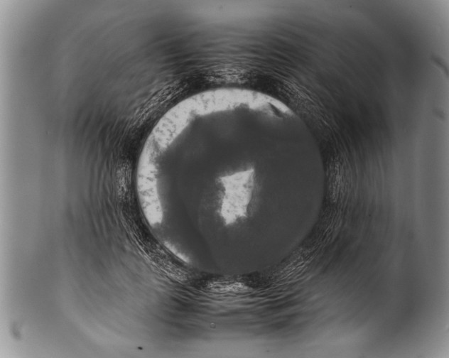 X0000100310747200806261202